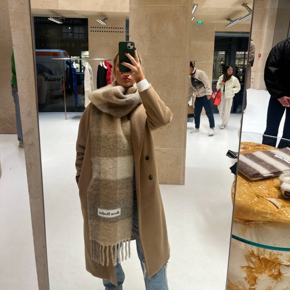 Aritzia Babaton Slouch Coat